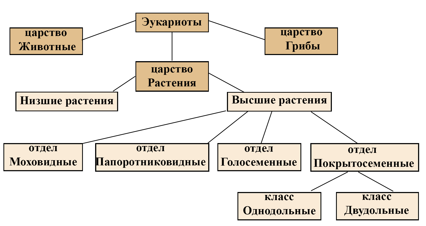 Класификация растений