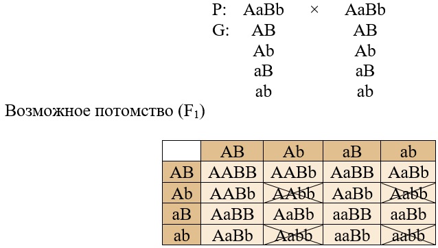 Решетка Пеннета в решении задач