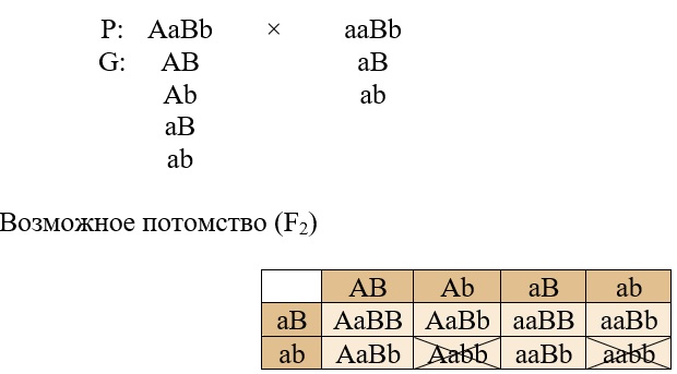 возвратное скрещивание