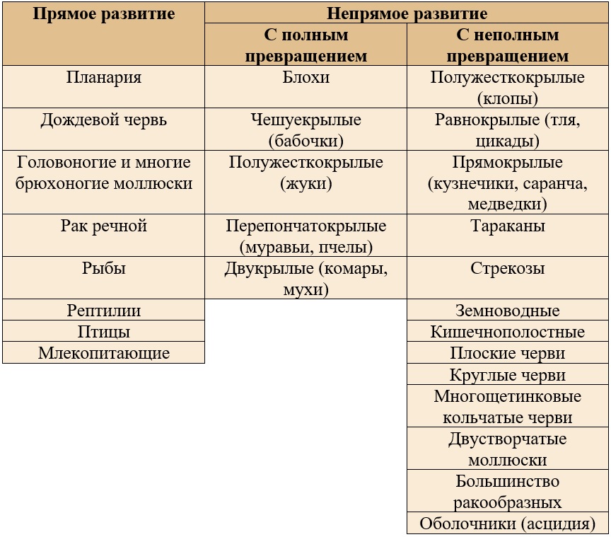 Схема типы развития животных с примерами