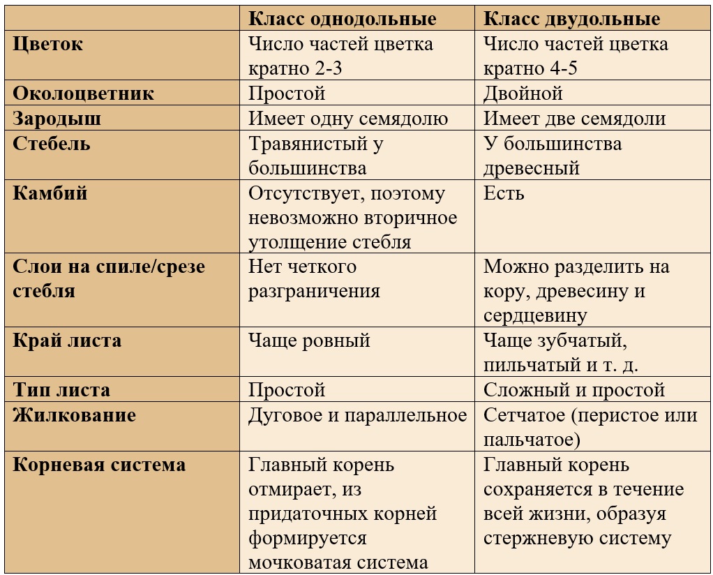 Сравнение классов однодольные и двудольные. Сравнение классов однодольных и двудольных растений таблица. Семейства класса двудольные и Однодольные таблица. Семейства однодольных и двудольных растений таблица. Семейства класса двудольные и Однодольные.