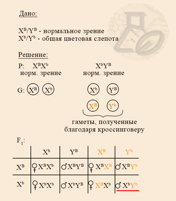 Ген общей цветовой слепоты