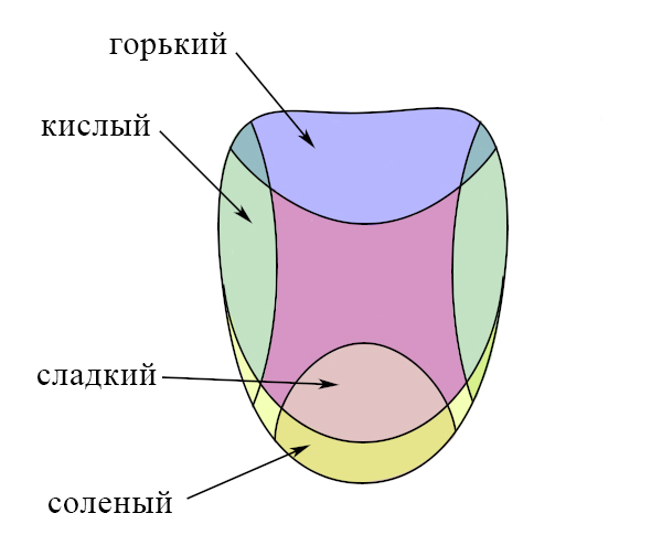 Горький сладкий кислый