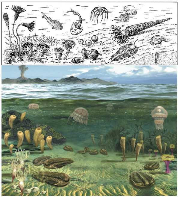 Древнейшие моллюски