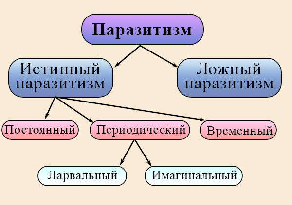 Взаимоотношения паразитизм