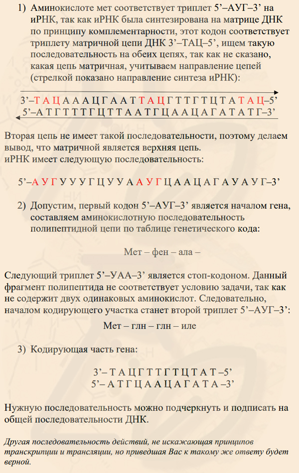 Ответ на задачу по биосинтезу белка