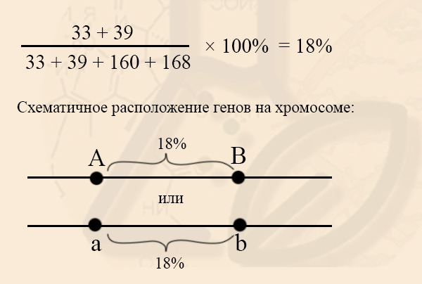 Хромосомная карта егэ