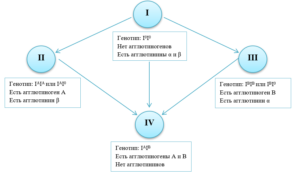 Универсальный донор и рецепиент