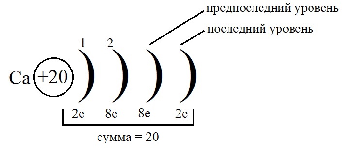 Эл схема кальция