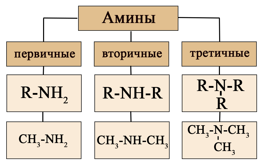 Классификация аминов схема