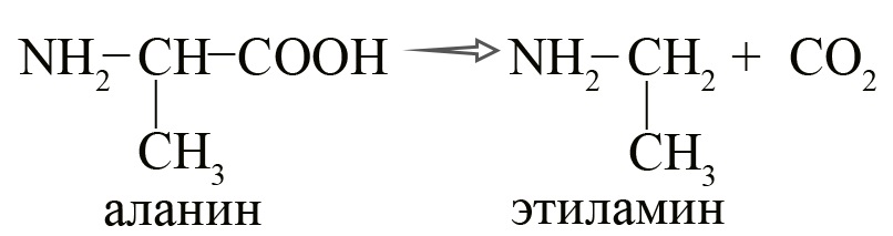 Получение аминов из аминокислот