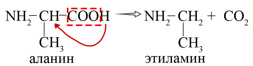 Получение аминов декарбоксилированием аминокислот