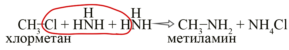 Как происходит реакция Гофмана