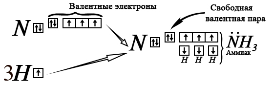Неподеленная пара электронов азота