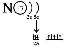 Строение атома азота