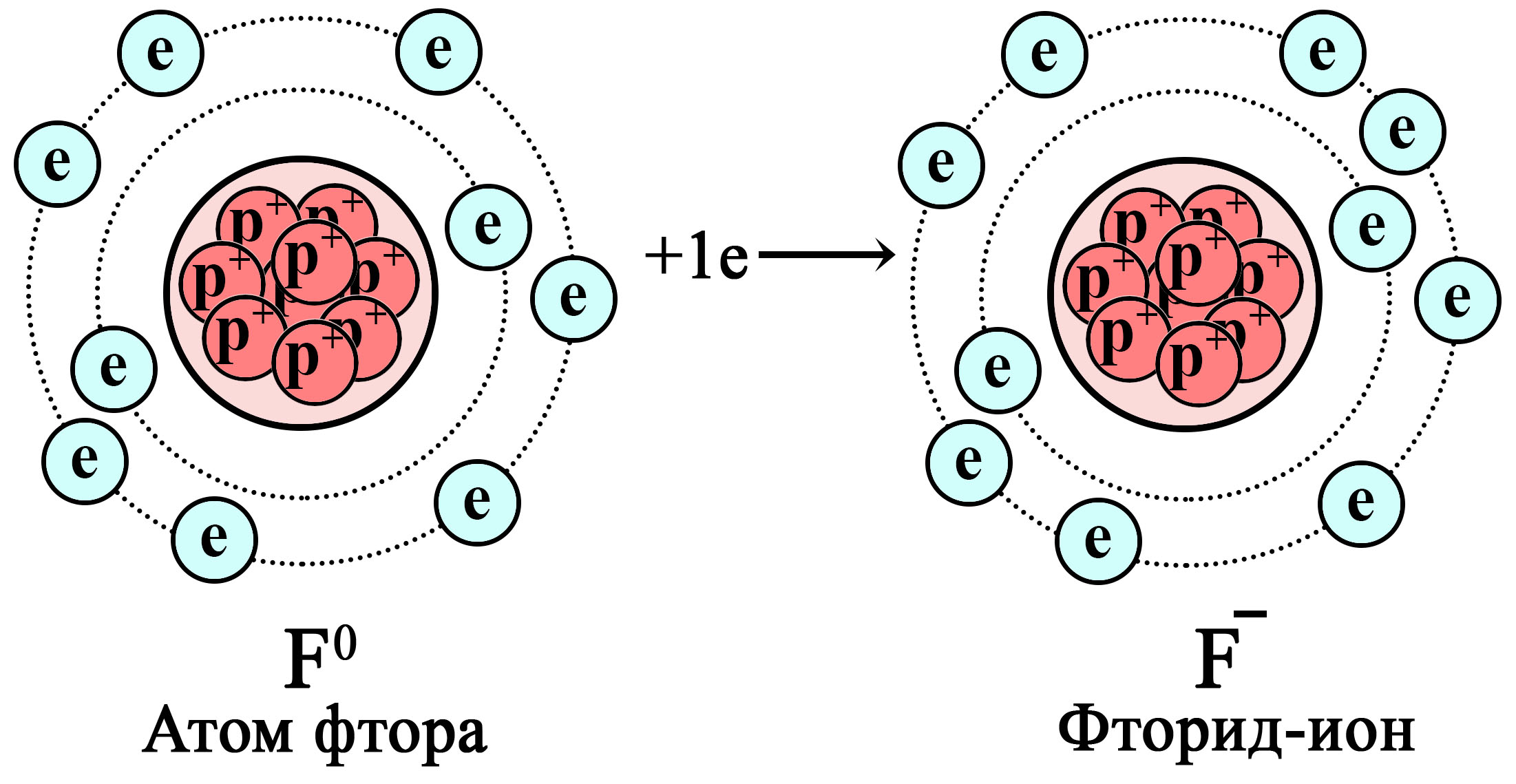 Электронные слои атома фтора. Схема атома фтора. Строение ядра фтора. Схема ядра фтора.