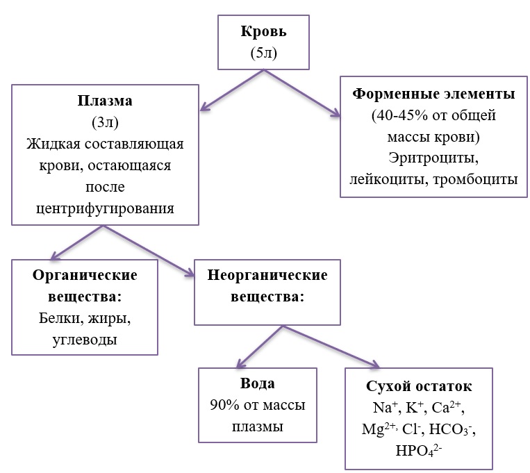 Конспекты егэ