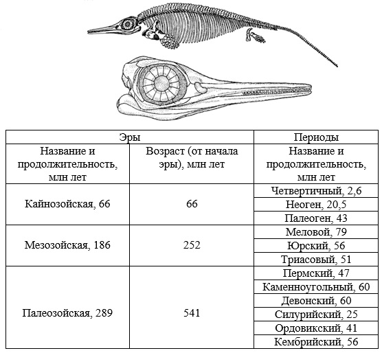 Если у вымершего животного имеется скелет изображенный на рисунке