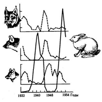 Вариант по биологии. Тест 