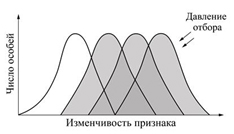 Вариант по биологии. Тест 