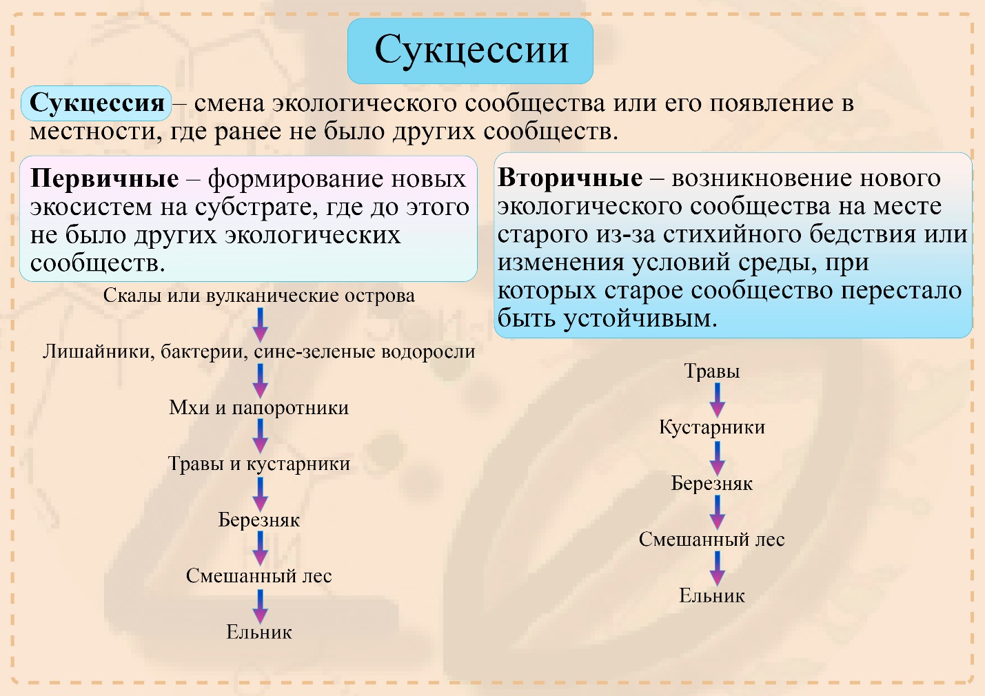 Первичные и вторичные сукцессии Сукцессии последовательность