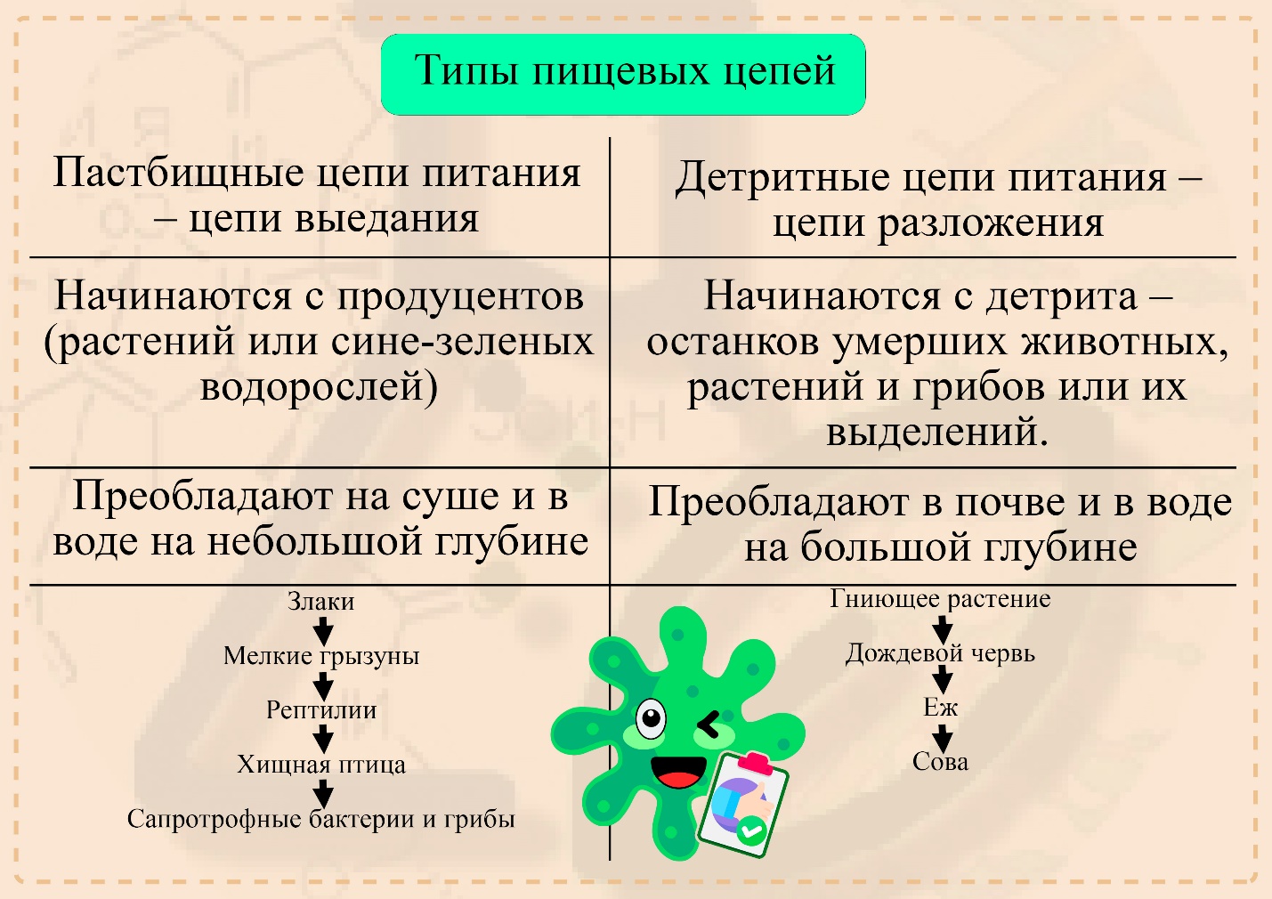 Детритная и пастбищная цепь питания Последовательность детритной и пастбищной цепи питания