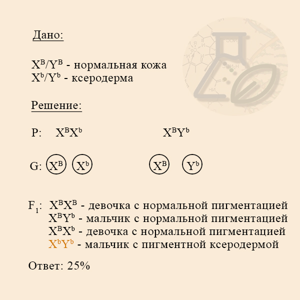 Определение вероятности появления пигментной ксеродермы Решение задачи на наследование пигментной ксеродермы
