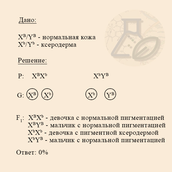 В каких случаях у детей не будет пигментной ксеродермы? Наследование пигментной ксеродермы сыновьями