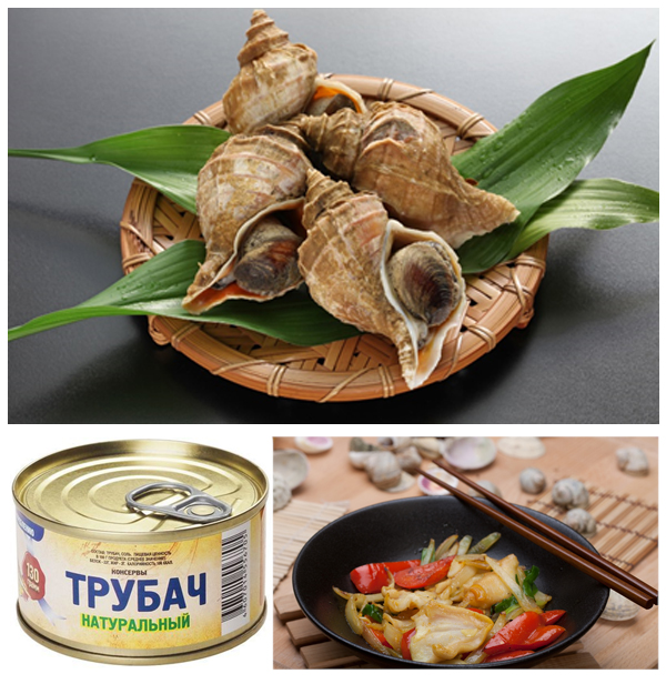 Трубач Дальневосточный Трубач Дальневосточный считается деликатесом