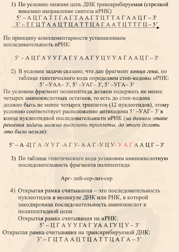 Задача со стоп-кодонами Ответы на задачу с фрагментом конца гена