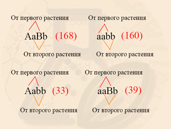 Как определить, какие гены сцеплены Расщепление при сцепленном наследовании и кроссинговере