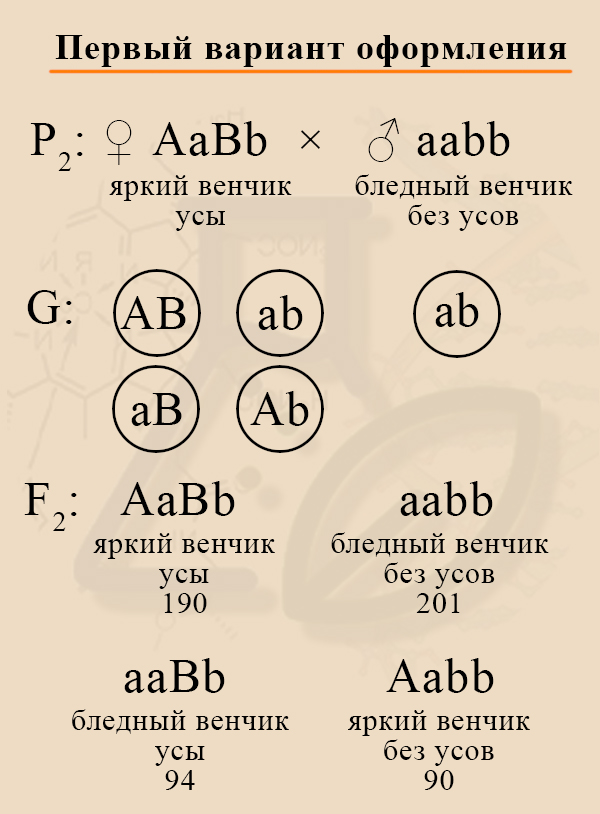 Задача на хромосомные карты 2024 Что нас ожидает на ЕГЭ по биологии в этом году