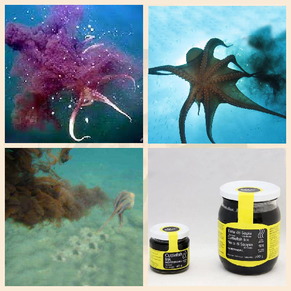 Выброс из чернильного мешка головоногими моллюсками. Чернила каракатицы Выброс из чернильного мешка головоногими моллюсками. Чернила каракатицы