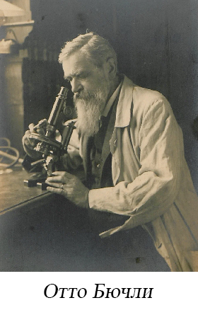 Отто Бючли фото Отто Бючли