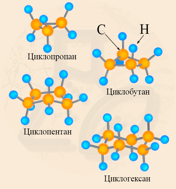 Пространственная структура циклоалканов Строение циклоалканов